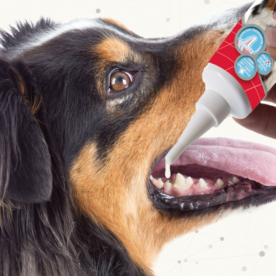 Gel Dental Beaphar para Perro y Gato 100g