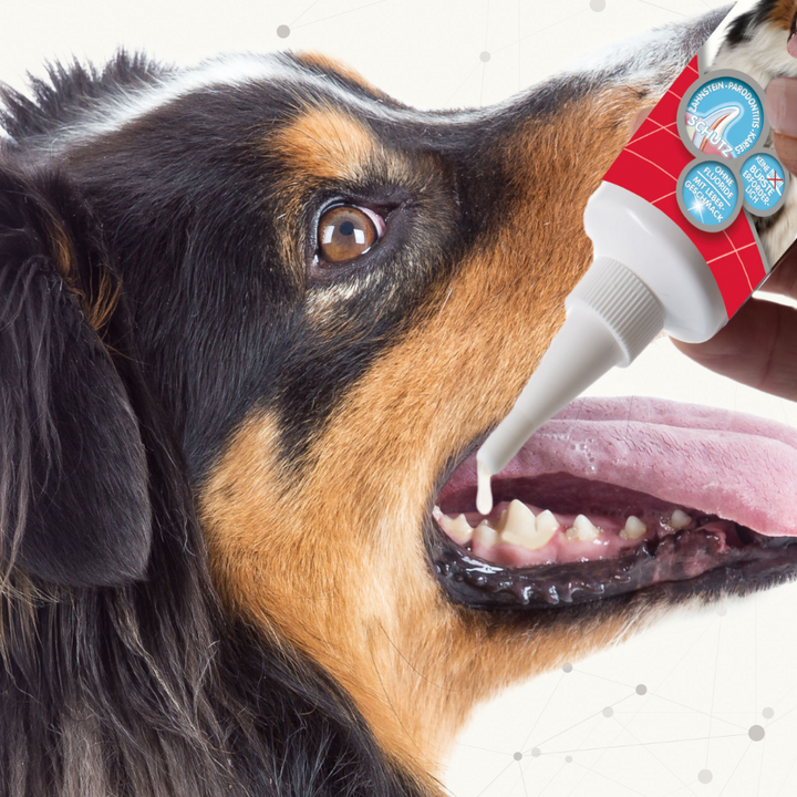 Gel Dental Beaphar para Perro y Gato 100g