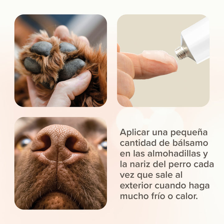 Balsamo  Beaphar Almohadillas de perros y gatos