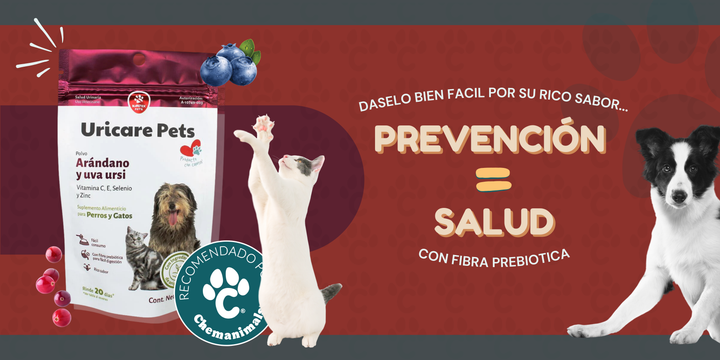 Suplemento Urinario para perros y gatos Nartex 90gr