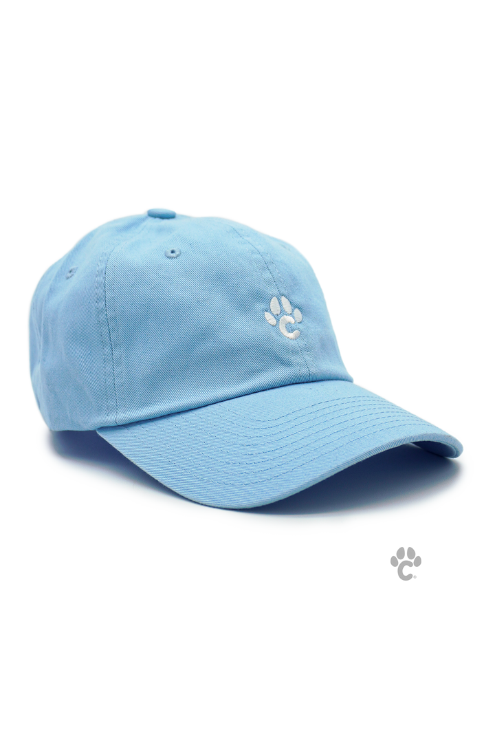 Gorra Dadhat Azul claro