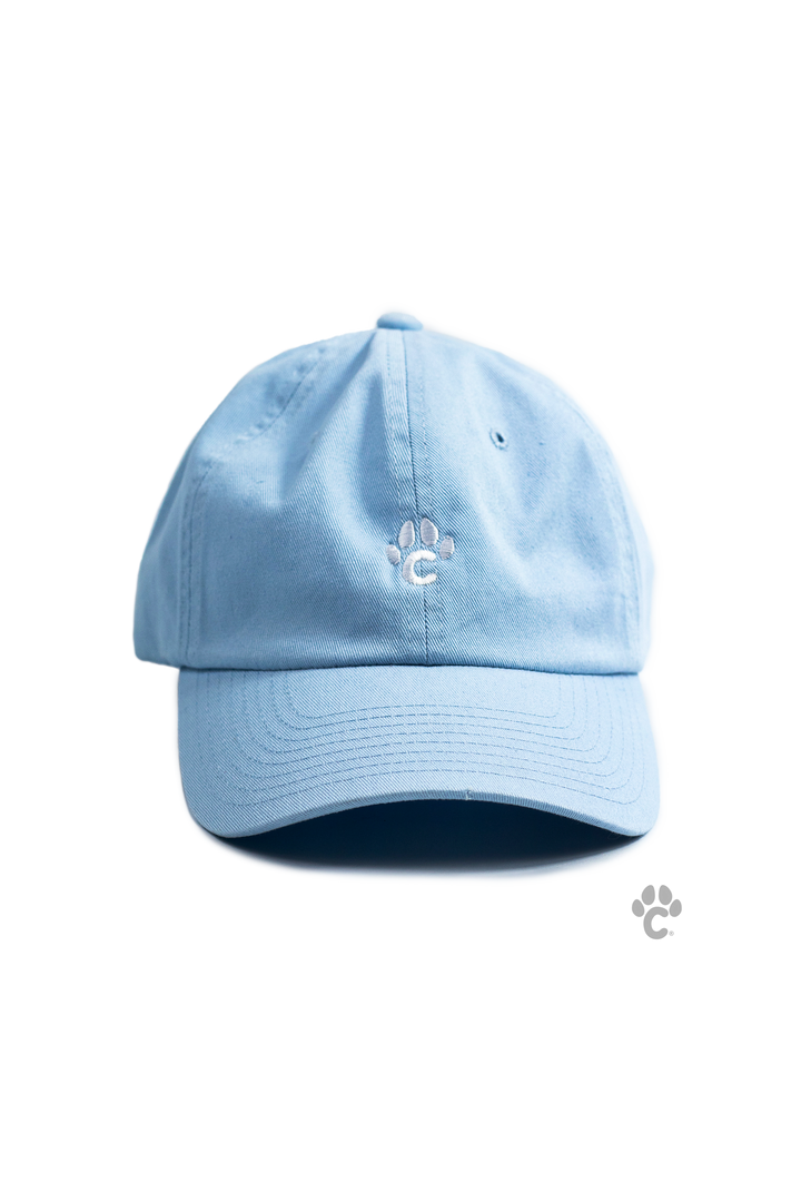 Gorra Dadhat Azul claro