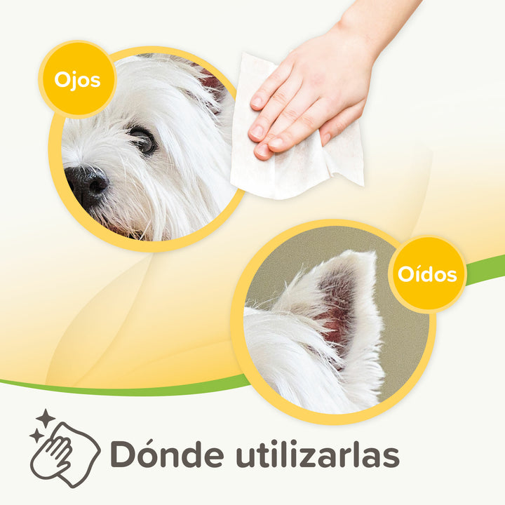 Beaphar Toallitas Húmedas Ojos y Oídos - 30u