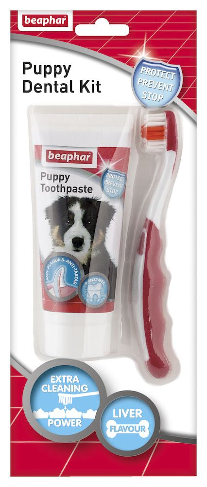 Pack Dental Beaphar de Pasta Dental y cepillo para cachorros perro y gato