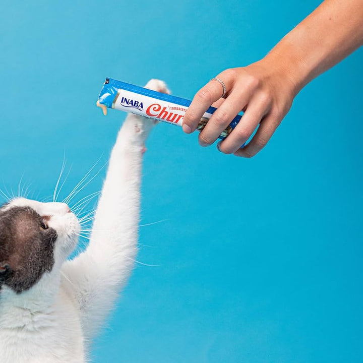 Premios para gato Churu 4 sticks de atún