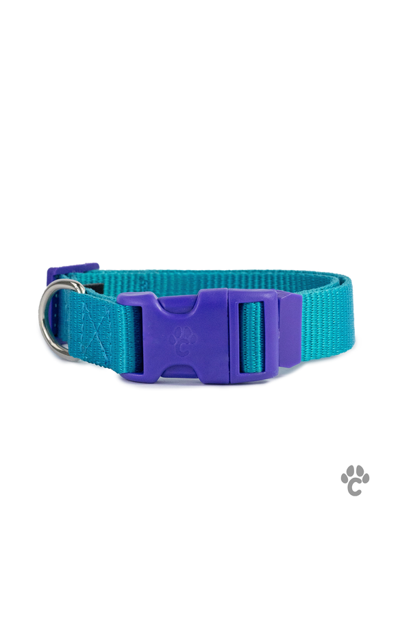 Collar Pro azul/morado para perro