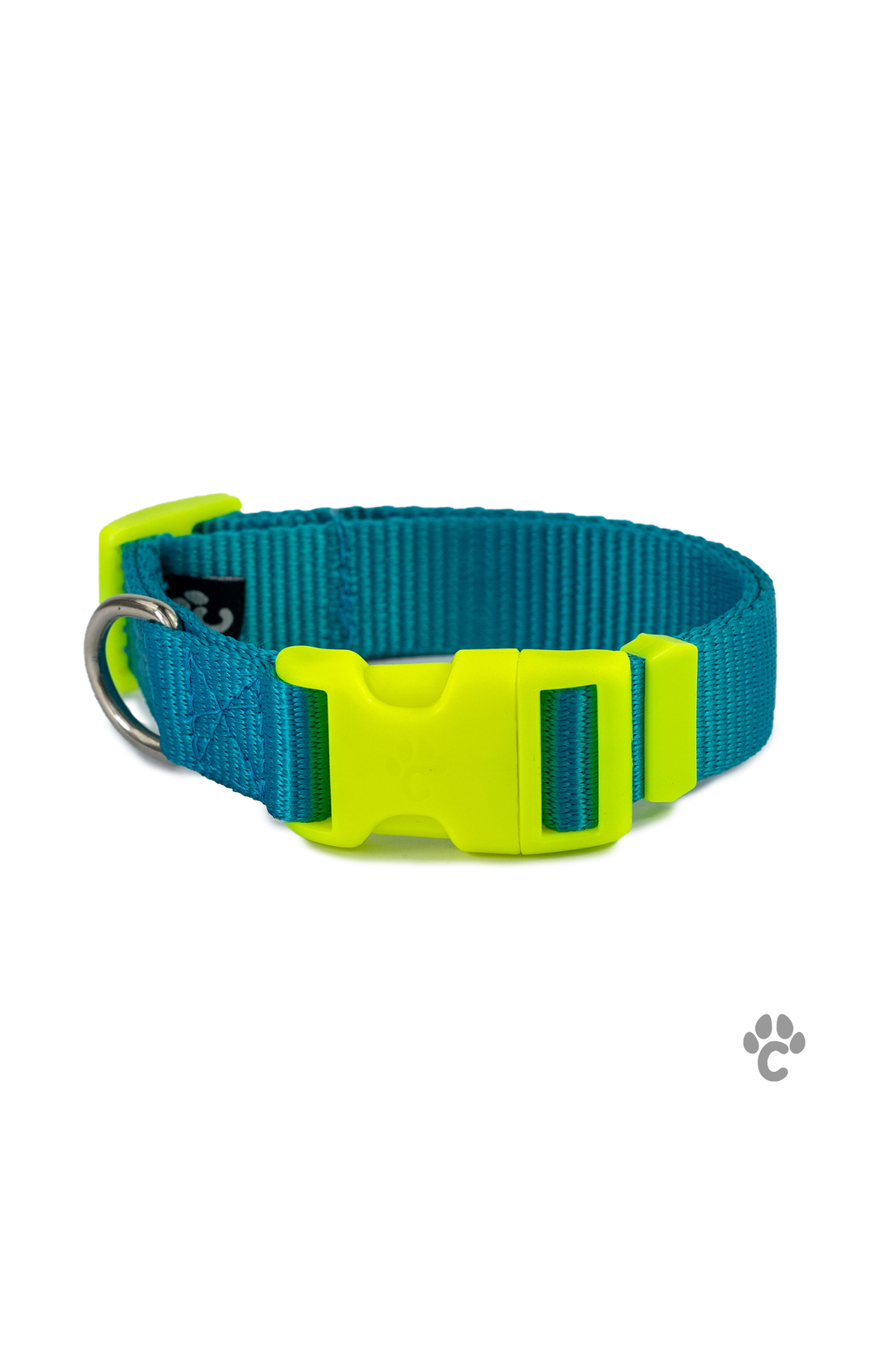 Collar Pro para perro - Azul y Neón