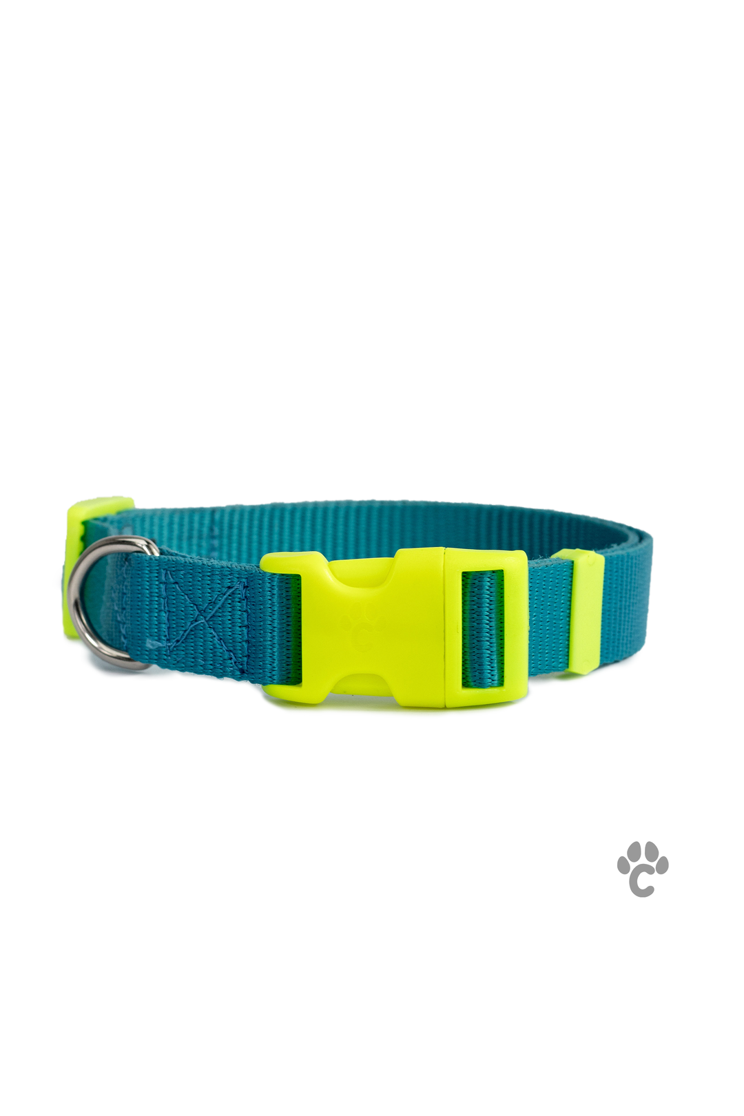 Collar Pro para perro - Azul y Neón