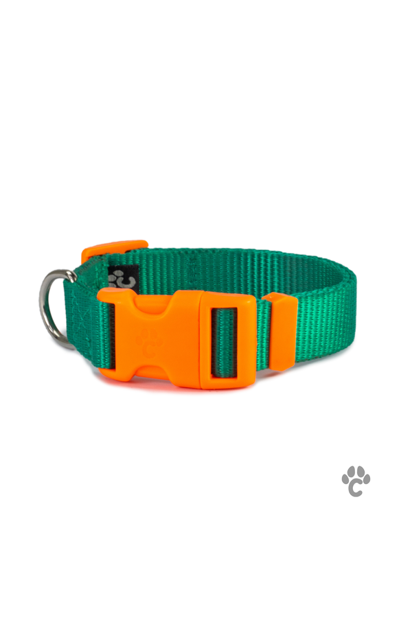 Collar Pro verde/naranja para perro
